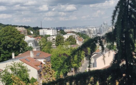 Appartement 2 pièces Sèvres