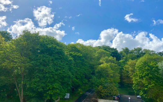 Appartement La celle Saint cloud